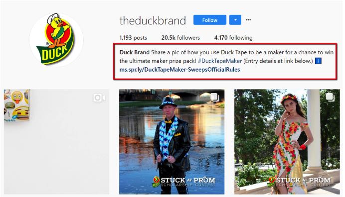 Instagram The Duck Brand Bio Example